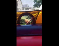 little boy enters jumper and falls back and outside