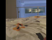 Lady in bed plays fetch with cat