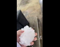 Guy covers license plate with snow with cop behind him