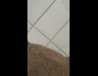 Brown bunny knocks sandwich off plate girl 