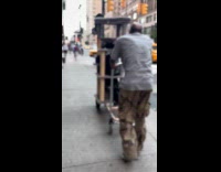 Man push cat tower on trolley street