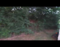 Collab DailyDoseOfInternet - Guy saw little frog on shed door