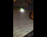 Raccoons hide in flood drain night flashlight