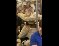 Collab Subway_Creatures - Woman cat tower costume ride subway train
