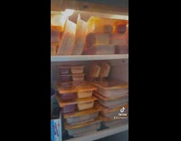 Girl shows fridge with a bunch of lunchables 
