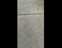 Pink toy left on ground 