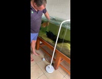Collab BitchMP - Guy lifts fish over tank