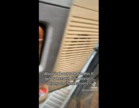 Guy picks up kitten on side of road 