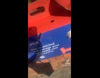 Cat tries getting out from box