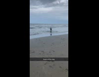Collab Kook Of The Day - Man goes into the ocean water and uses metal detector, kook of the day