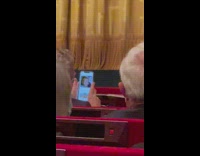 Guy at met opera swipes left on dating app 