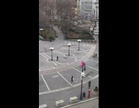 Person at park wears inflatable flamingo costume 