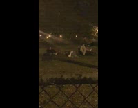 Collab WINY - Friends WAP dance in circle park grass 