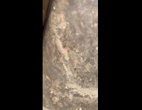 Submitter shows bug still alive inside vacuum