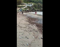 Man in black tank top capoeira dance at the beach