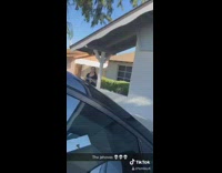 Girl mom run in car jehovah witnesses 