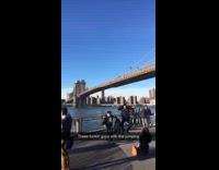 these guys with the jumping birdge