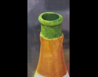 Red fish inside of green bottle inside of aquarium peeks head out