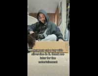 Cat tries to play with owners package toy 