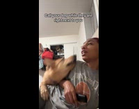 Collab Clips MPUGC - Owner plays prank on dog calling name
