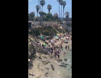 Sea lions chase people off beach