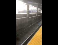 Bull running through train tracks at station