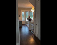 Couple surprises senior dog with puppy