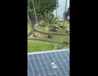 Woman brown beach dress for resort video