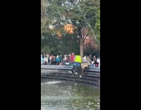 Man plays and wet on the fountain at park in NYC 