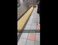 Bird crosses the yellow safety line at a subway station
