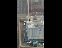 Man removes black tank top rooftop photoshoot