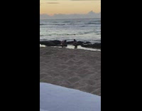 Woman in bikini crouches on the beach rock