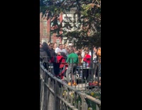 Collab winy - DJ play beat surrounded by people park