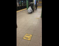 Guy does push ups by trash pt. 3

