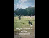 Laying on ground for photo Mexico 