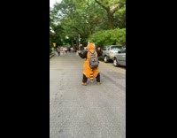 Collab winy - Person red panda costume walk dance street