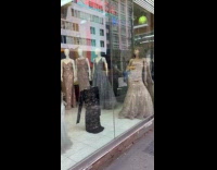 Pigeon got inside boutique store