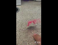 Pink frog toy bounce with slow motion laugh