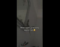 Collab BitchMP - Bird mirror sing and dance