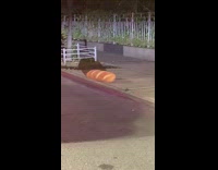 Baguette plush sits on sidewalk