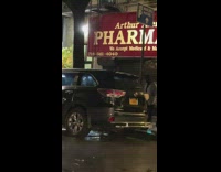 Guy uses large leaf as umbrella 