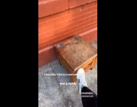 Wooden potty on street looked like chair