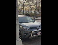Pigeon sits on side mirror 