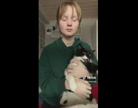 Voice filter on cat as girl pets it 