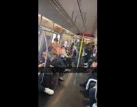 Collab Subway Creatures - Woman in long hair with rat on head inside train