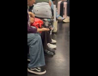 Woman rides train with bird on hand