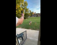 Man caught deer eating from bird feeder