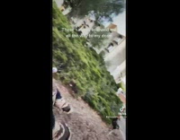 Guy followed by turkeys tries to fight and scare them off 