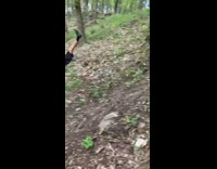 Red backpack guy bicycle tree trunk fail 