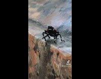 Collab Clips mpugc - Man filming lanternfly